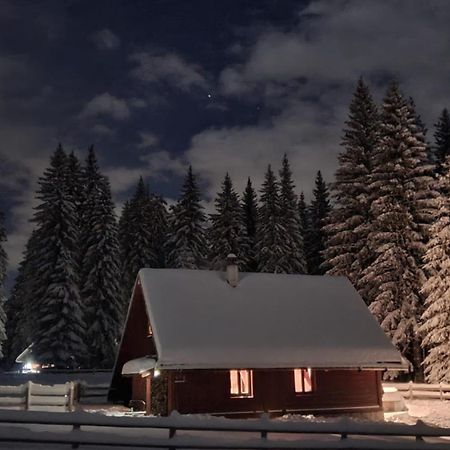 Cosy Chalet On Pokljuka - Brunarica Tinkara Zgornje Gorje 外观 照片
