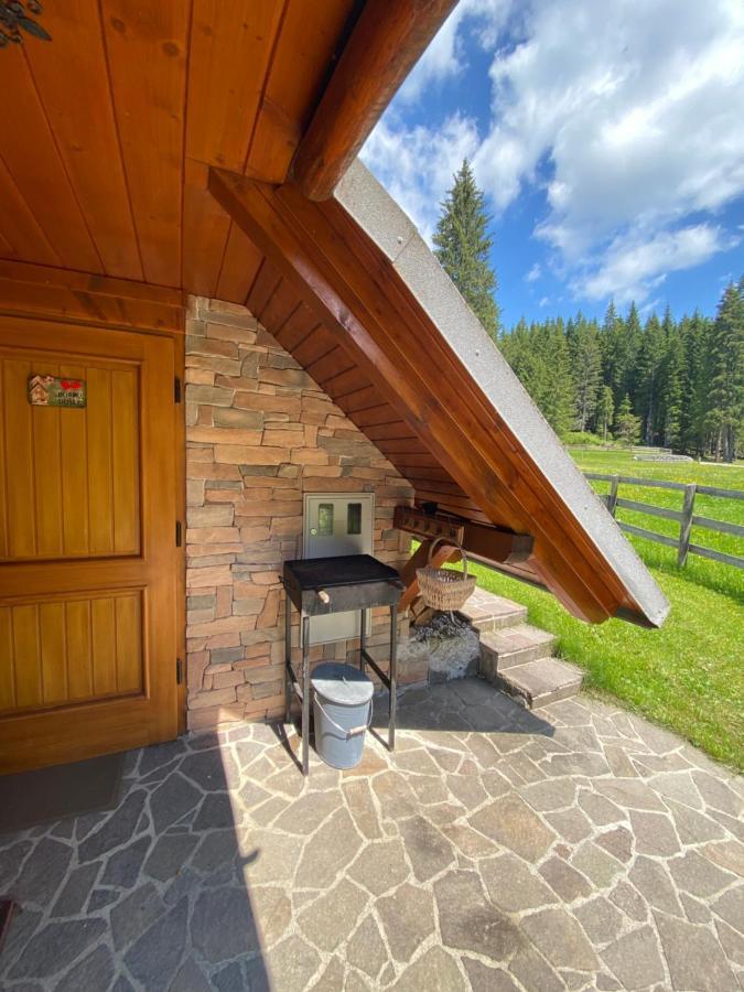Cosy Chalet On Pokljuka - Brunarica Tinkara Zgornje Gorje 外观 照片