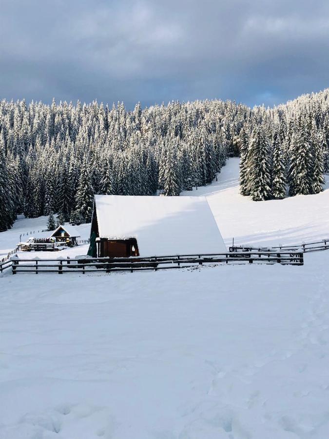 Cosy Chalet On Pokljuka - Brunarica Tinkara Zgornje Gorje 外观 照片