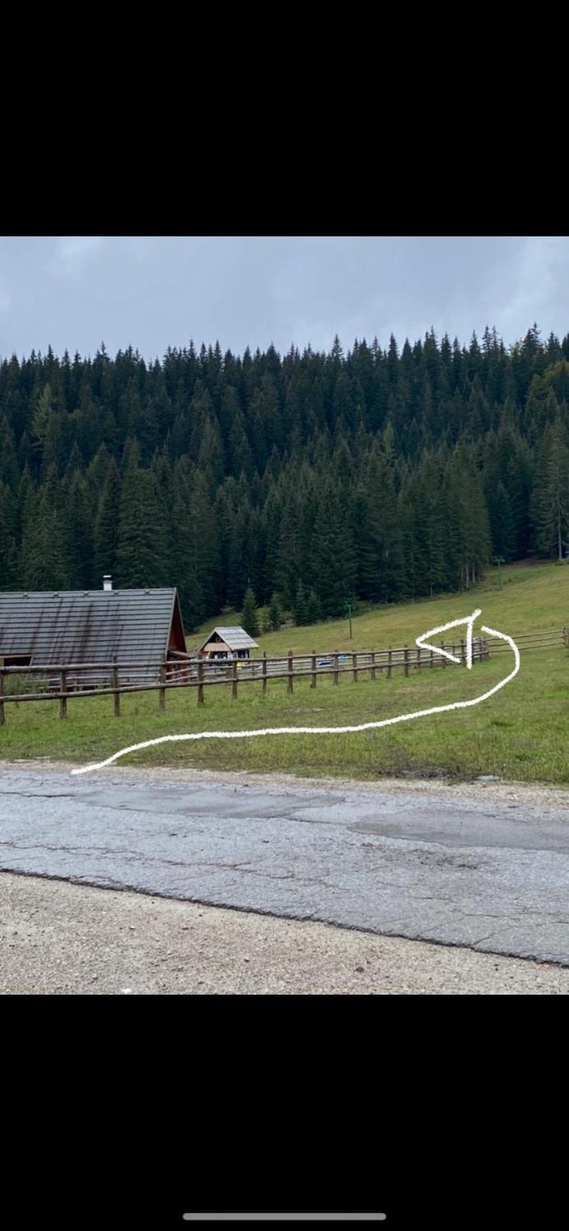 Cosy Chalet On Pokljuka - Brunarica Tinkara Zgornje Gorje 外观 照片