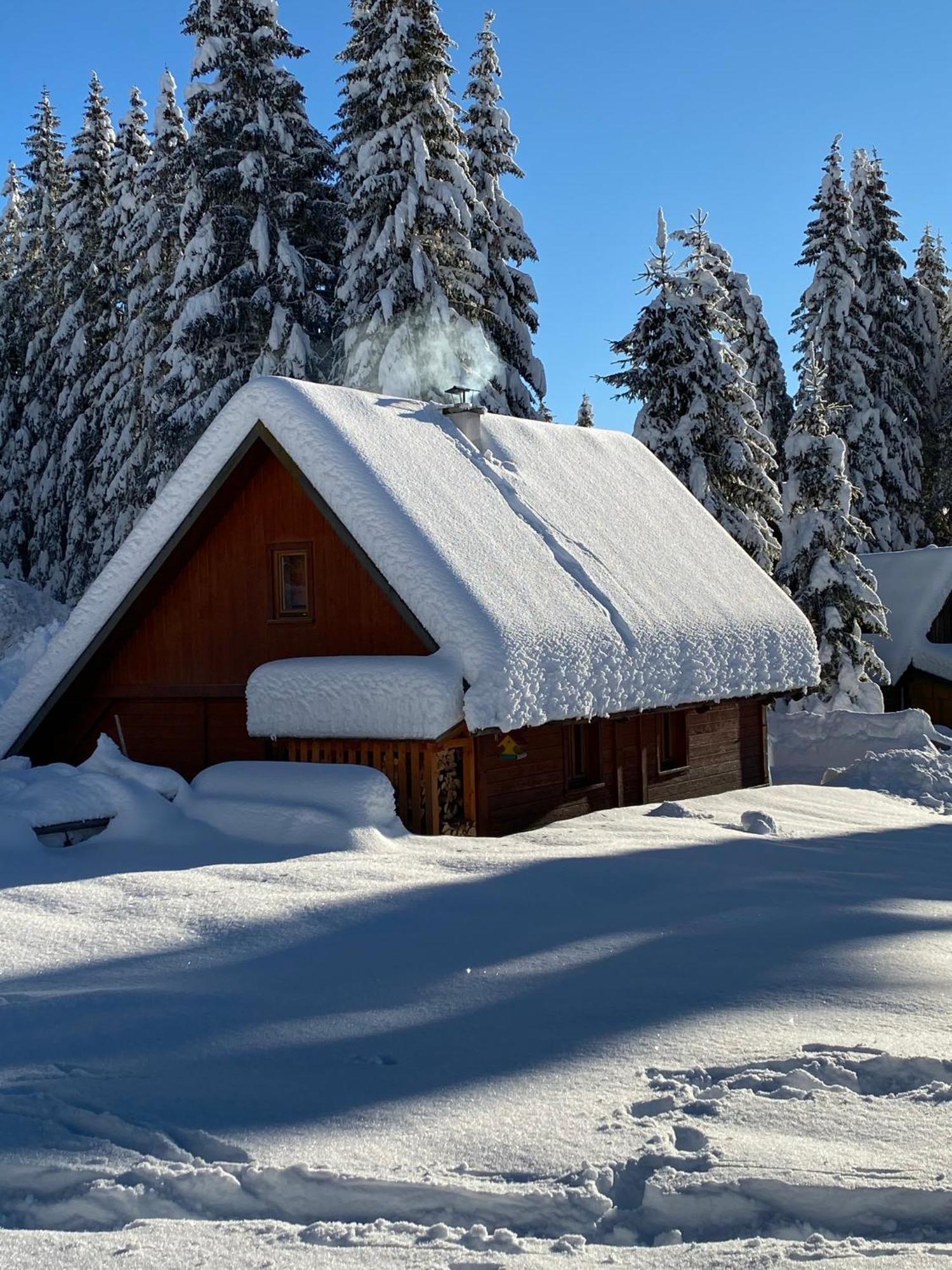 Cosy Chalet On Pokljuka - Brunarica Tinkara Zgornje Gorje 外观 照片