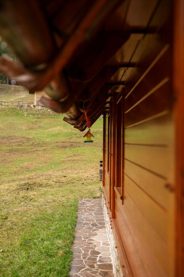 Cosy Chalet On Pokljuka - Brunarica Tinkara Zgornje Gorje 外观 照片